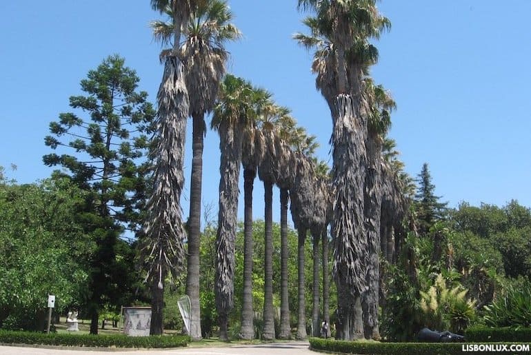Jardim Botânico Tropical, Lisbon