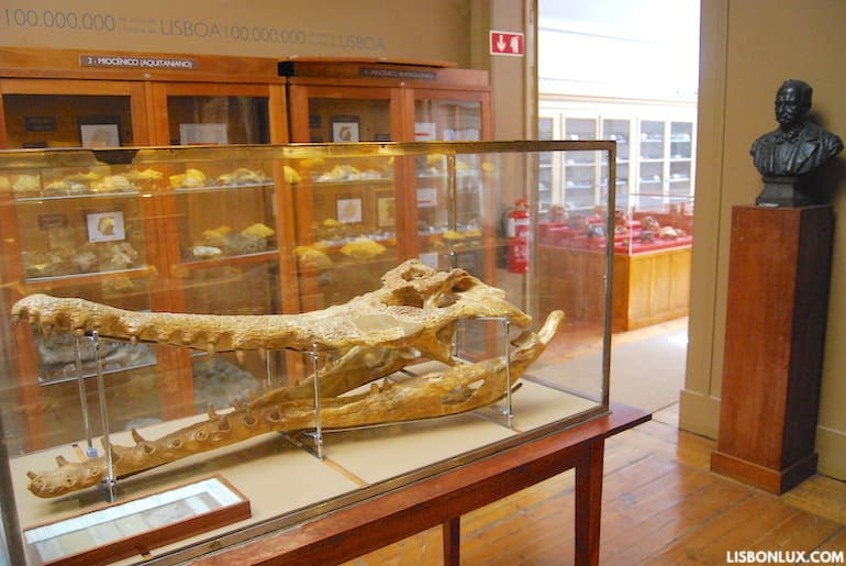 Museu Geológico de Portugal, Lisbon